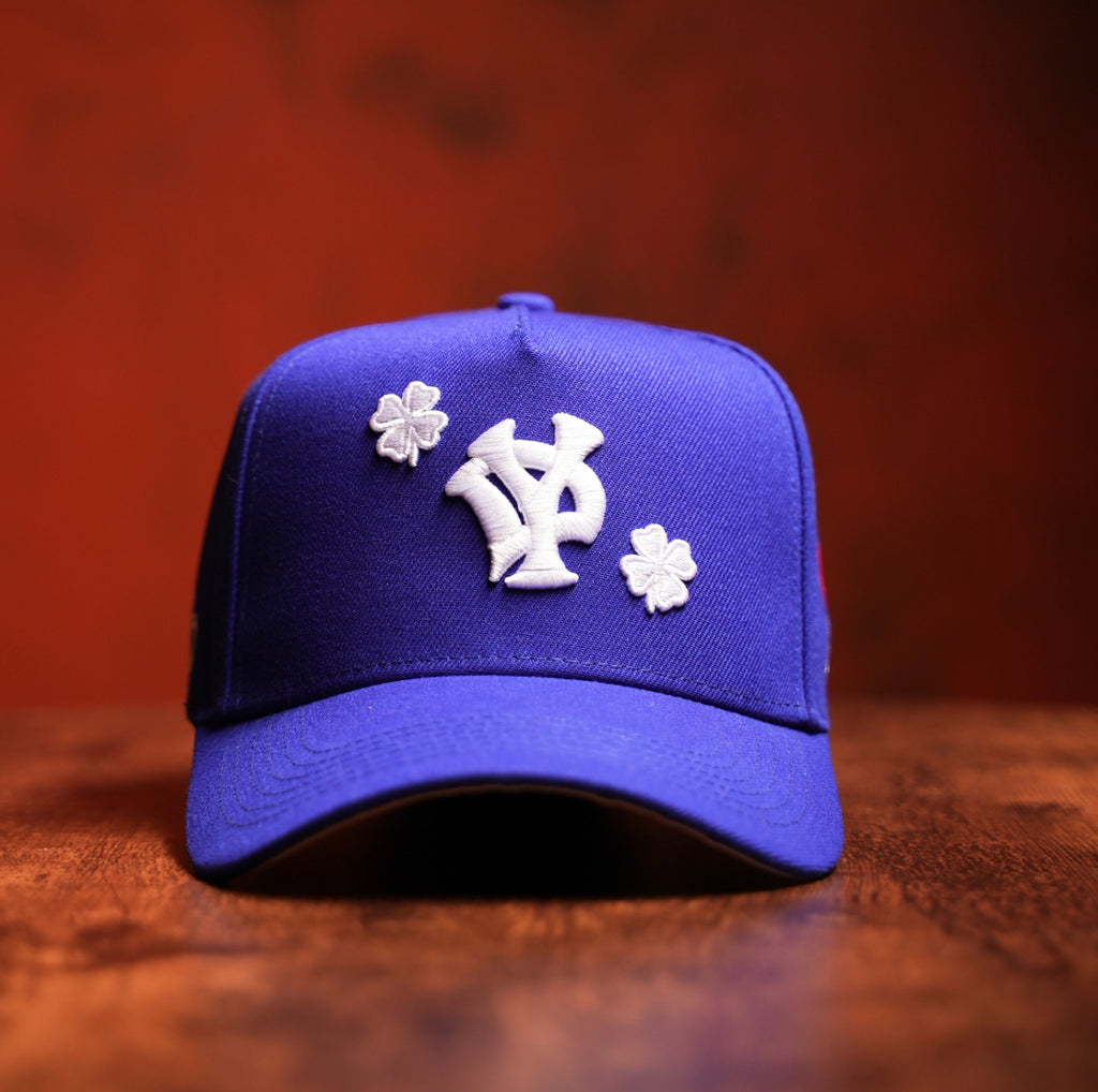 YD BLUE TRUCKER S25
