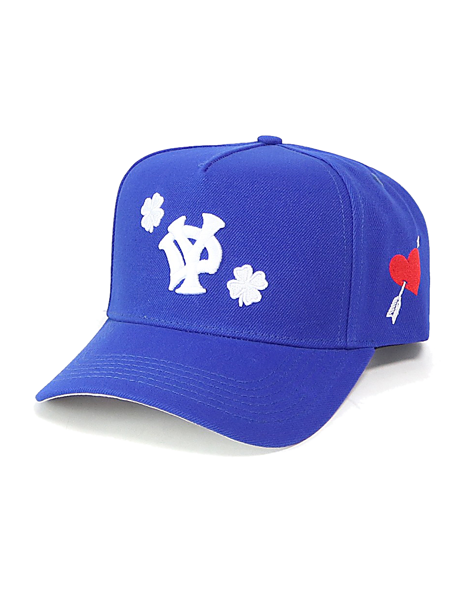 YD BLUE TRUCKER S25