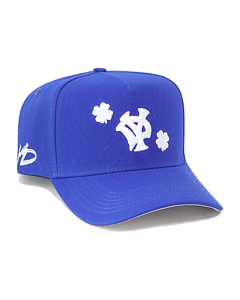 YD BLUE TRUCKER S25