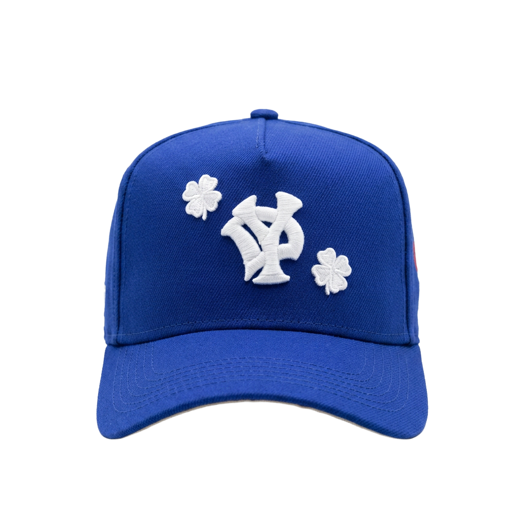 YD BLUE TRUCKER S25